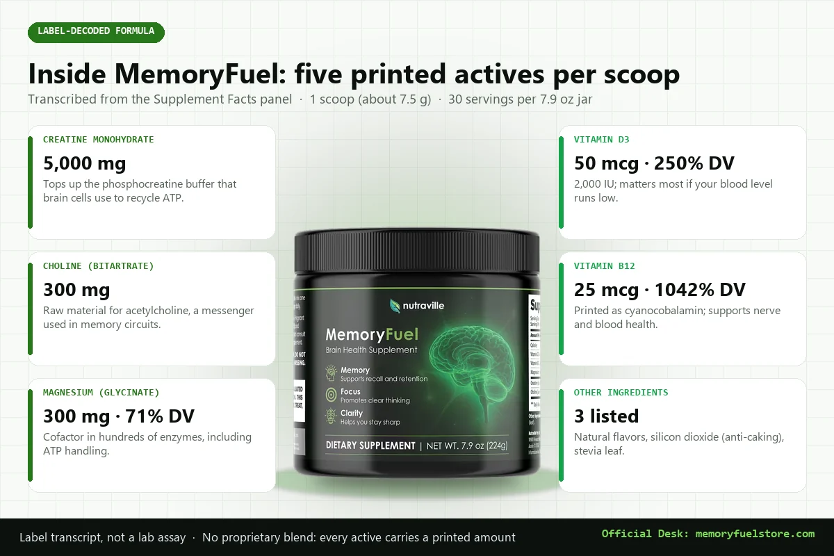 Infographic of the MemoryFuel jar surrounded by its five printed actives: creatine 5,000 mg, choline 300 mg, magnesium 300 mg, vitamin D3 50 mcg, vitamin B12 25 mcg